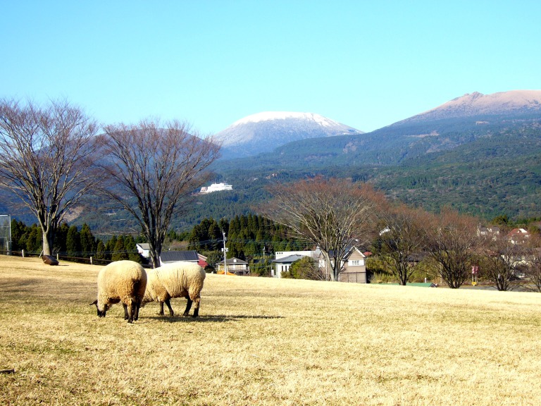 宮崎のレンタカー予約